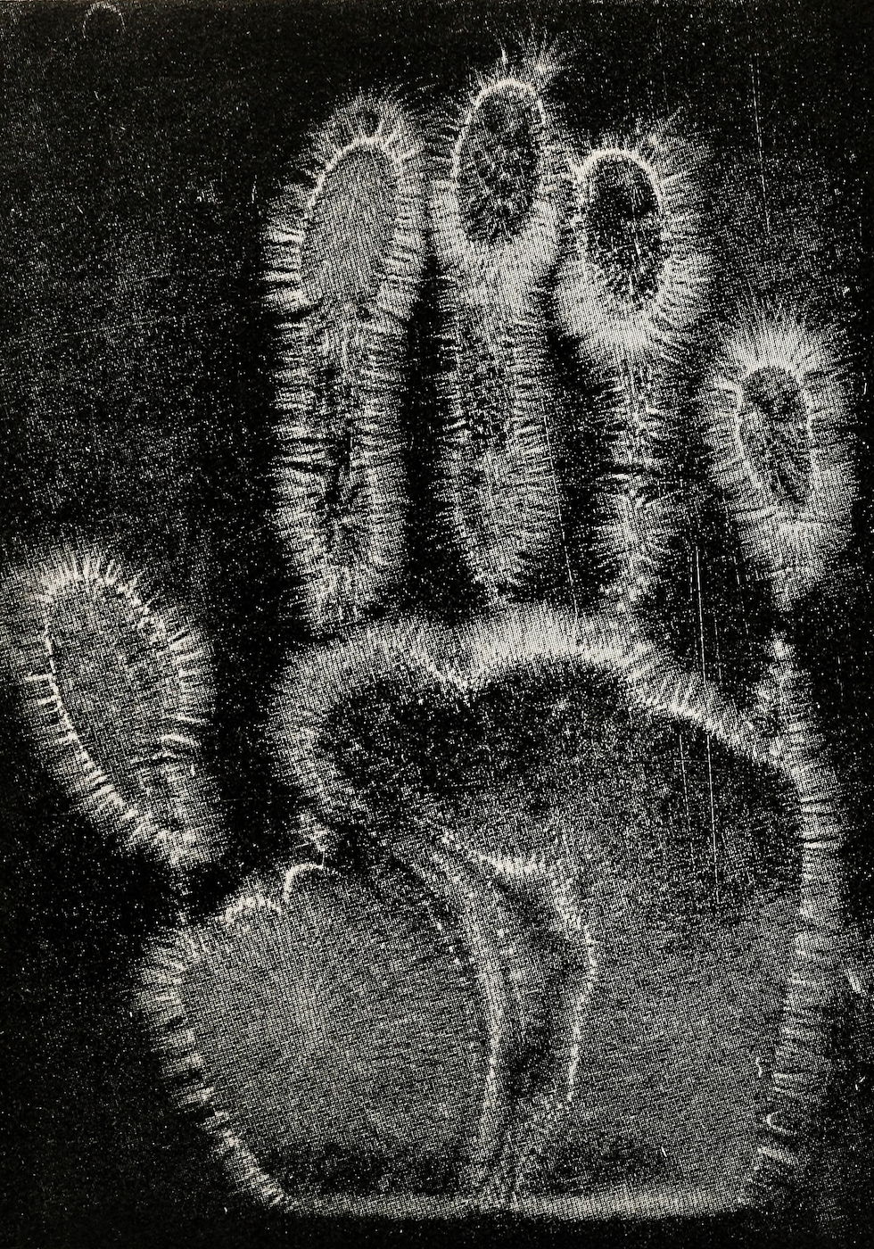 Image of a person