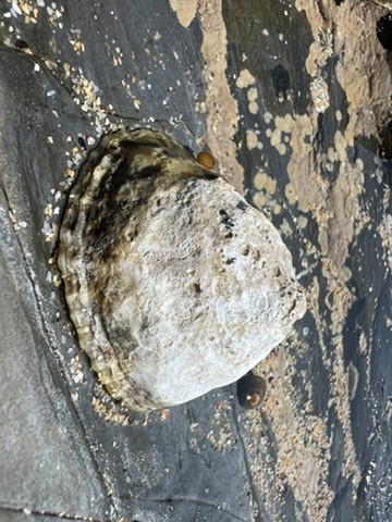 blue sky and white clouds over the sea