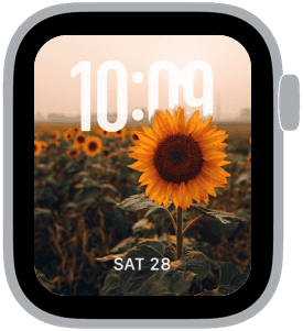 sunflower fields Apple Watch face preview 4 featuring floral and summer.