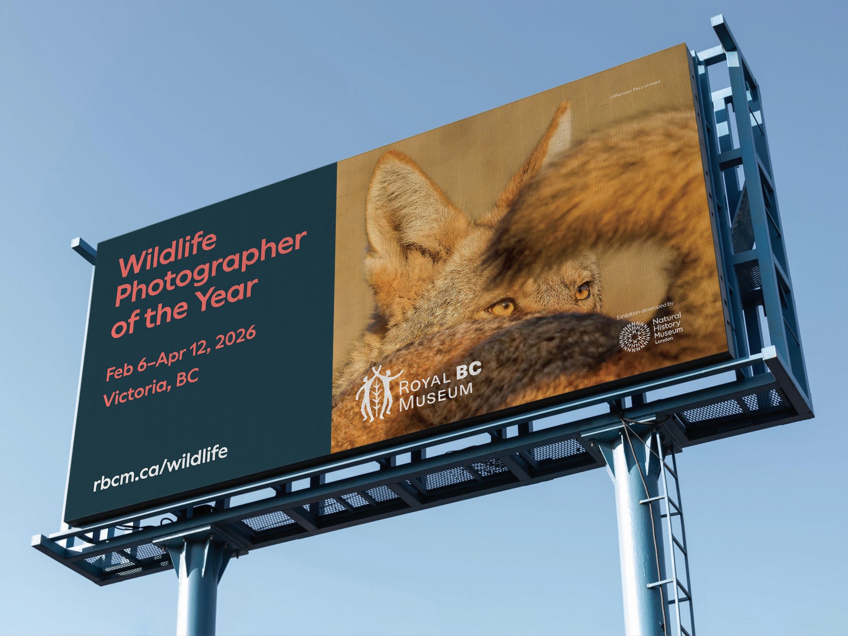 A billboard against a bright blue sky featuring the image of a fox and the title Wildlife Photographer of the Year
