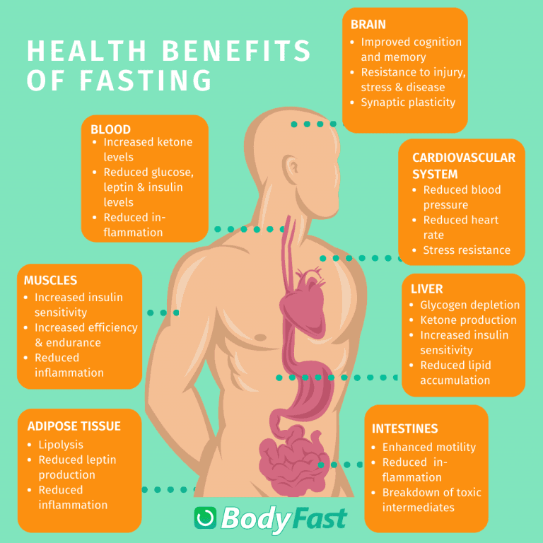 The Science Behind Intermittent Fasting - BodyFast