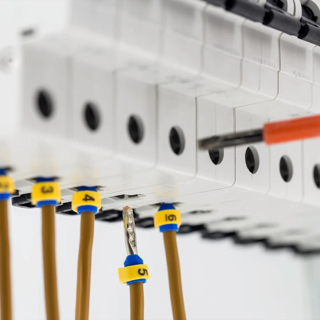 An illustration from Carlos Gomes Cabral