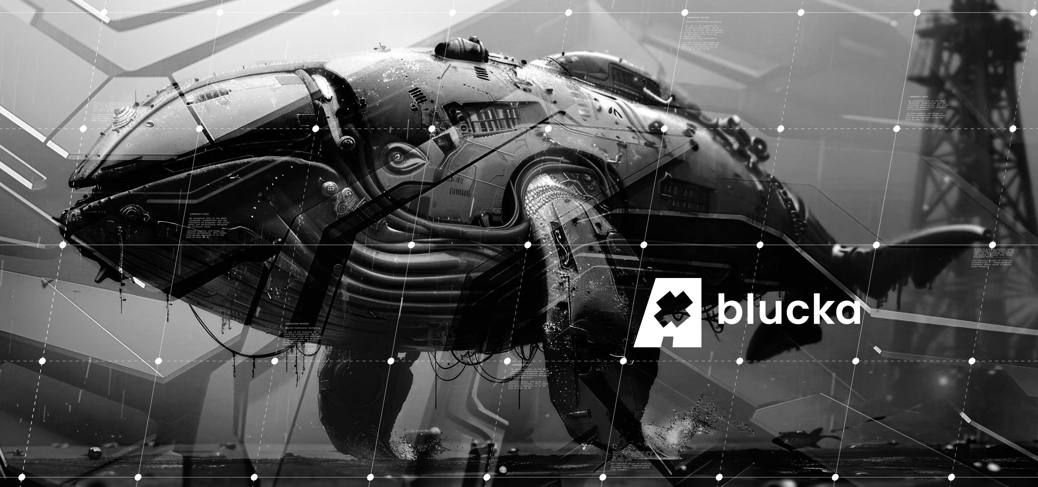 blucka - Finding Your Crypto Marketing Maestro: Choosing the Best Agency