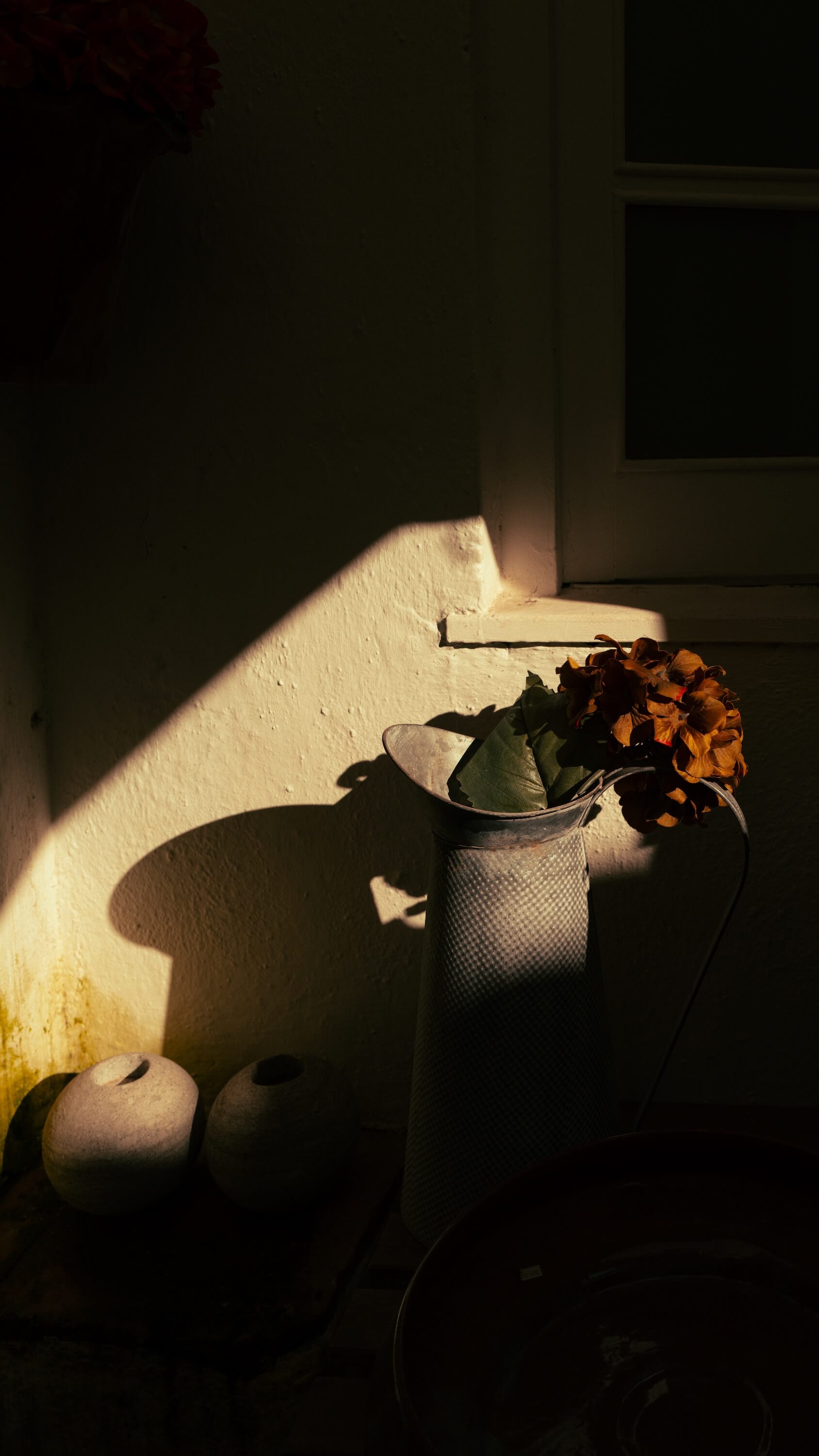 Light & Shadow #49