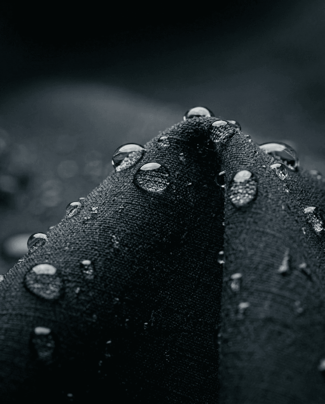 a close up of water droplets on a black surface