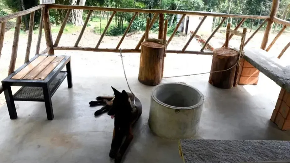 Pet friendly Ecosystem in Swasya Living (3).webp