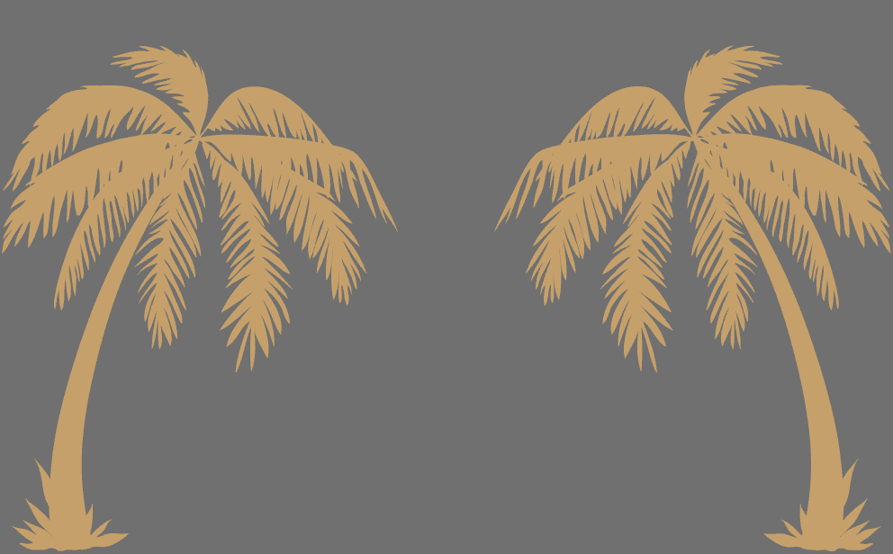 Two palm trees