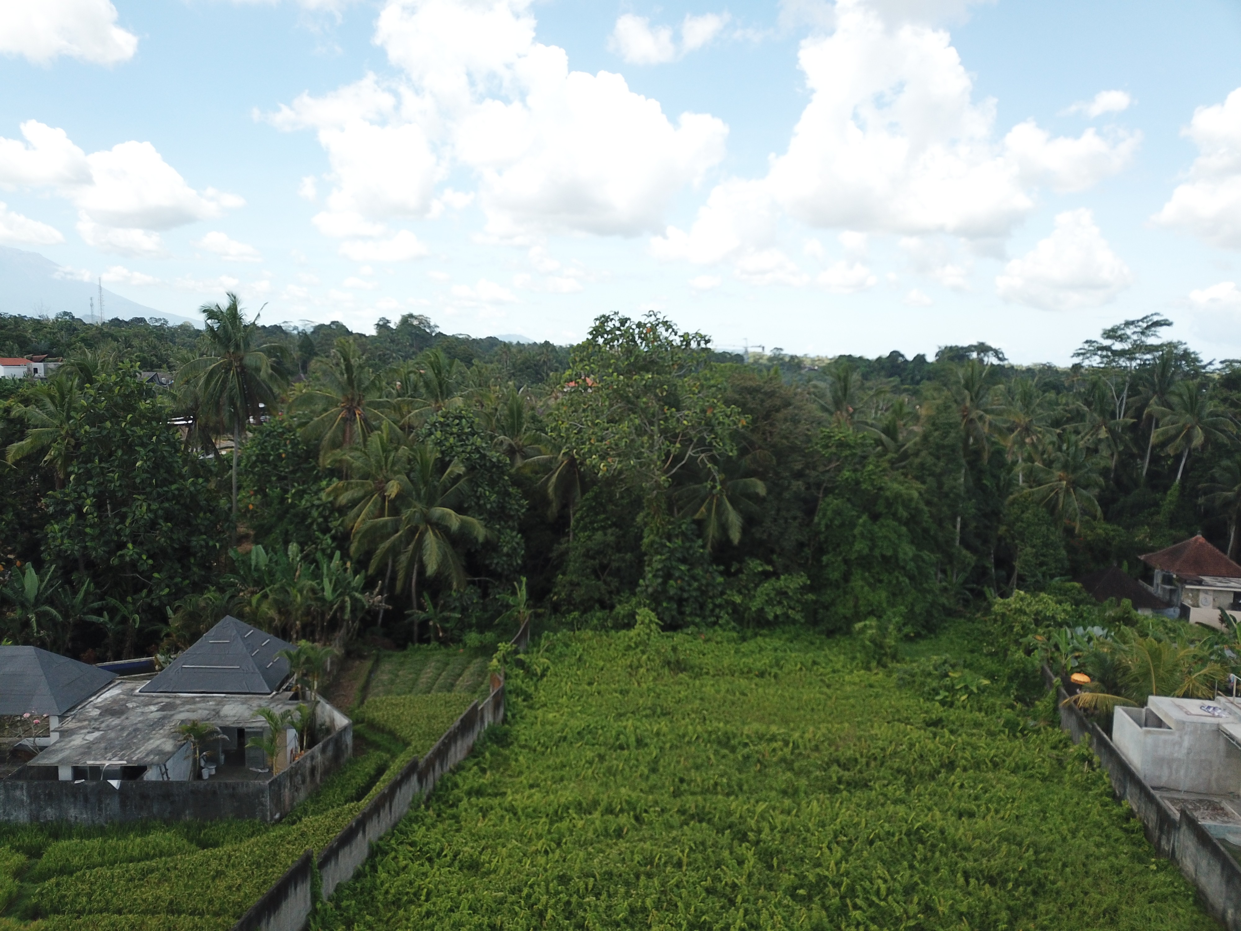 Land plot 3200 m² in Ubud, Leasehold
