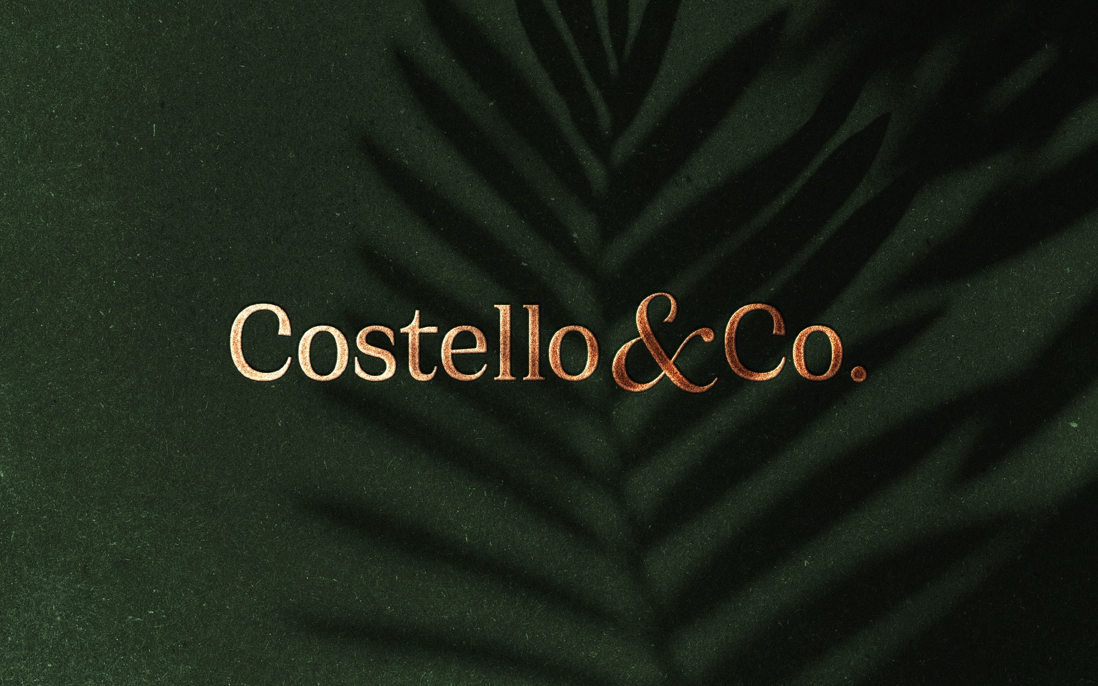 Costello & Co. identity applied across stationery, project materials and its website.