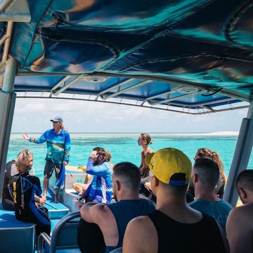 烏龜旅行者冒險