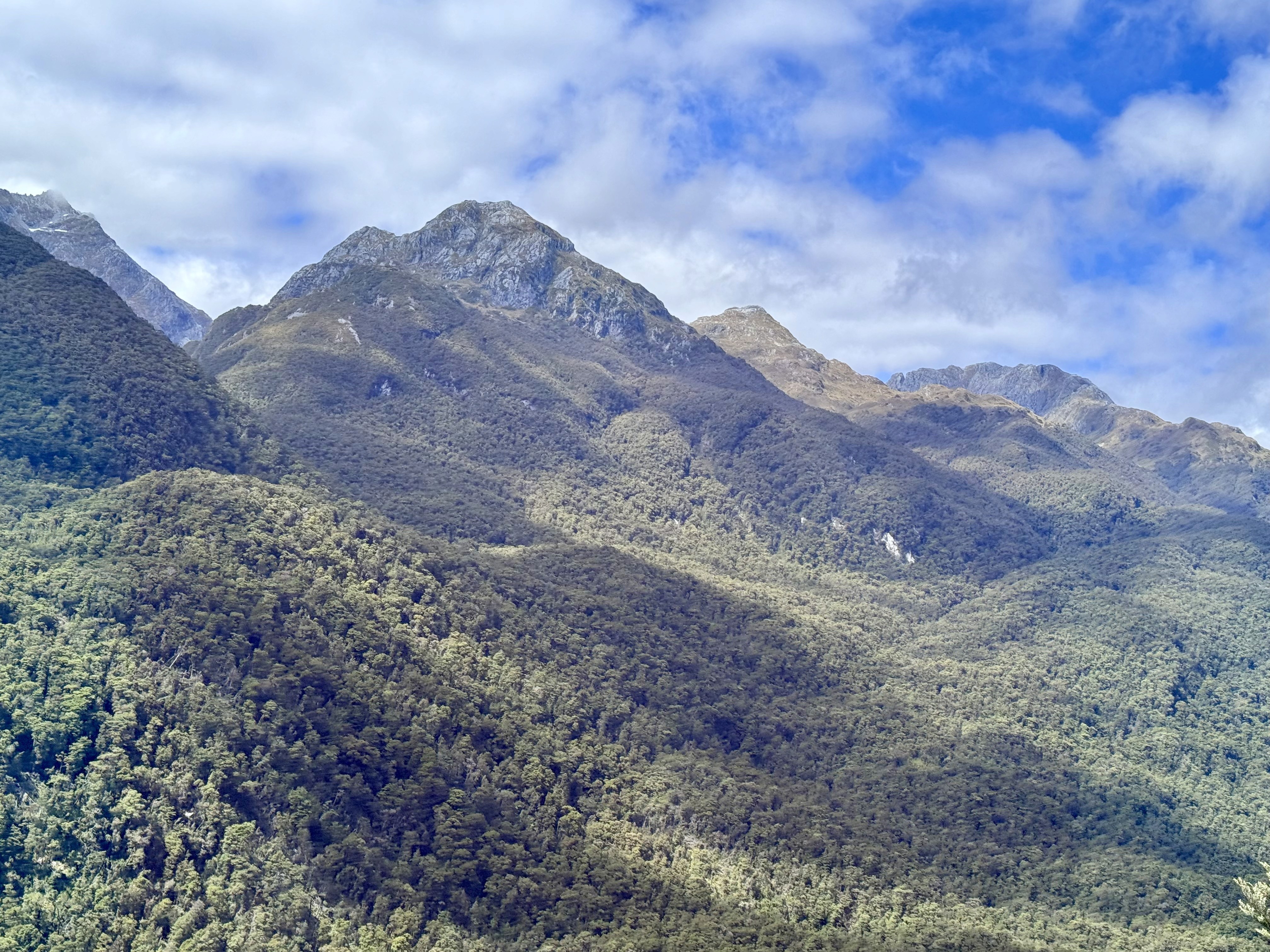 The greenery of Wilmot pass