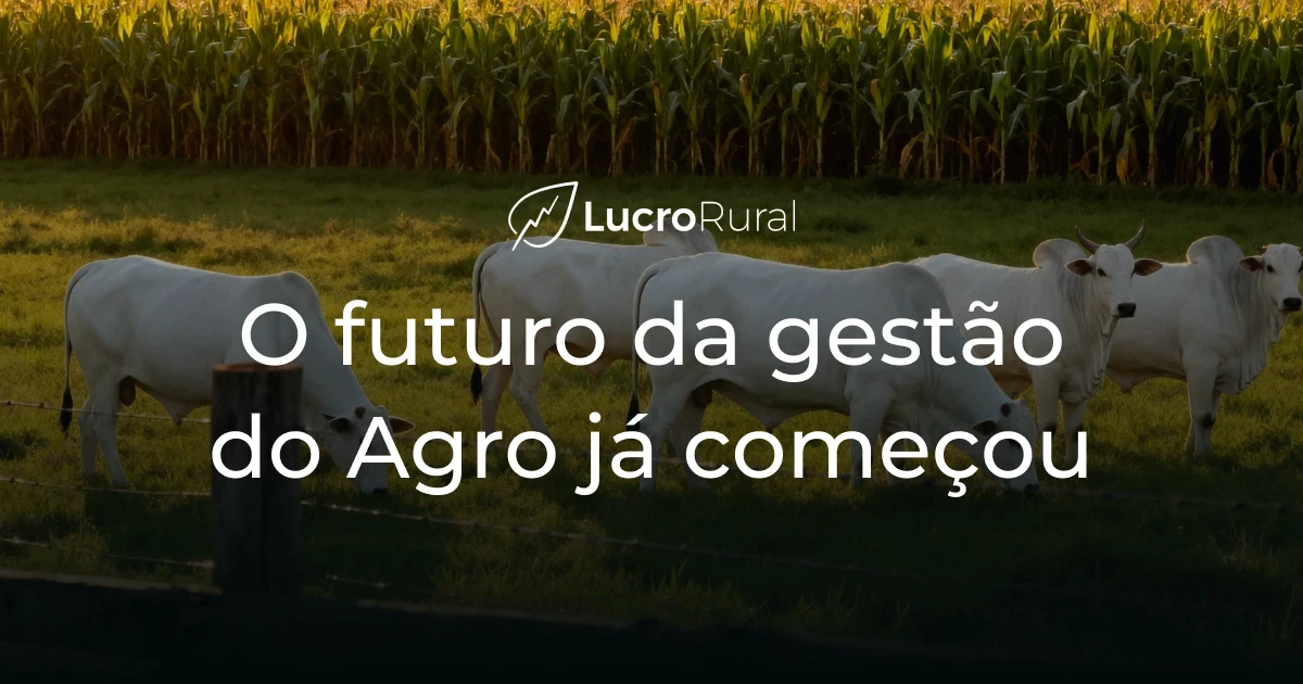 Lucro Rural