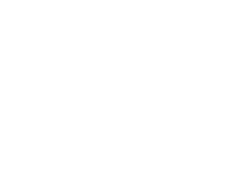 Company logo in white