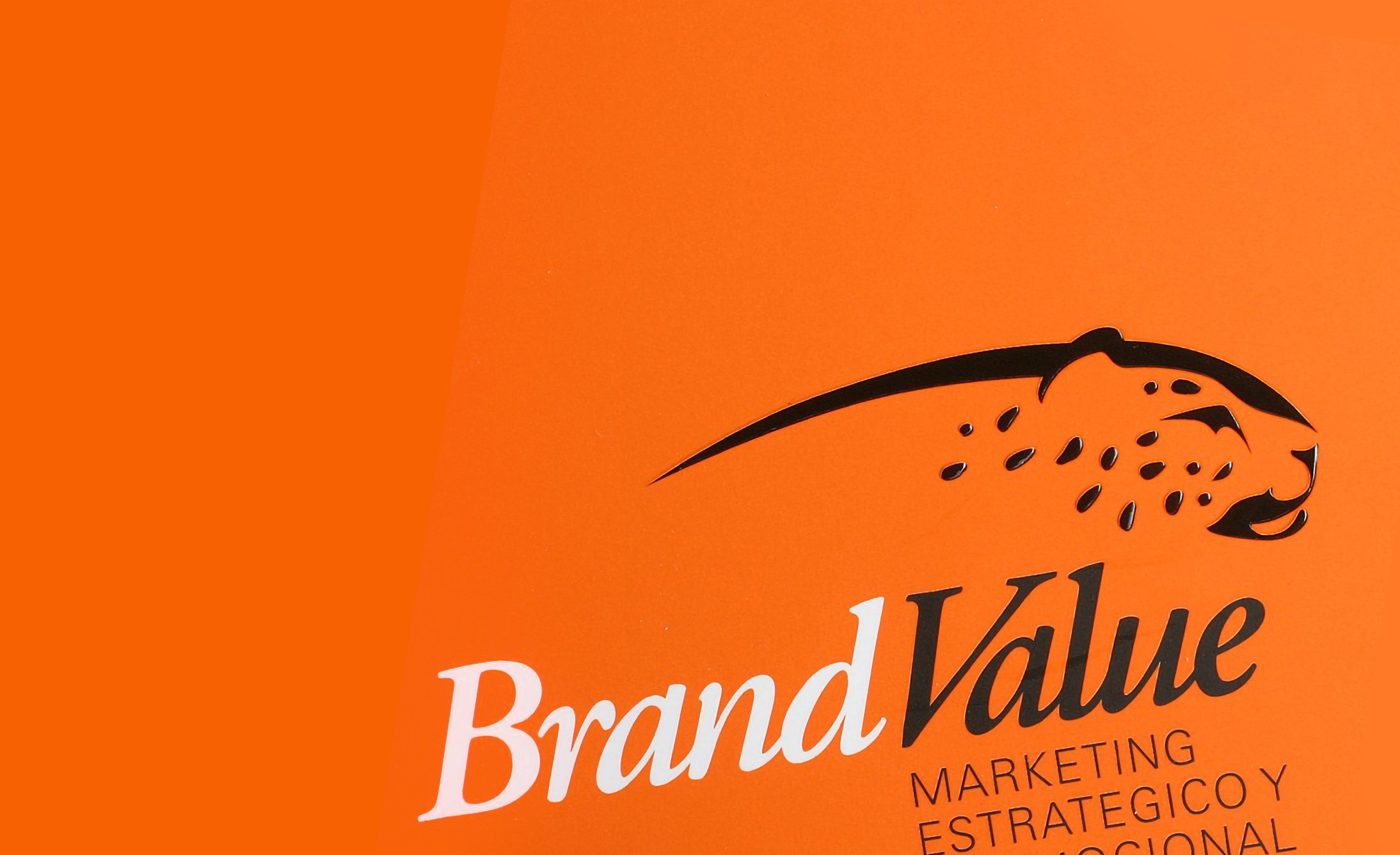 Logo design on orange background. Features a stylized cheetah above the words "Brand Value" in bold, modern font, conveying speed and strategy.