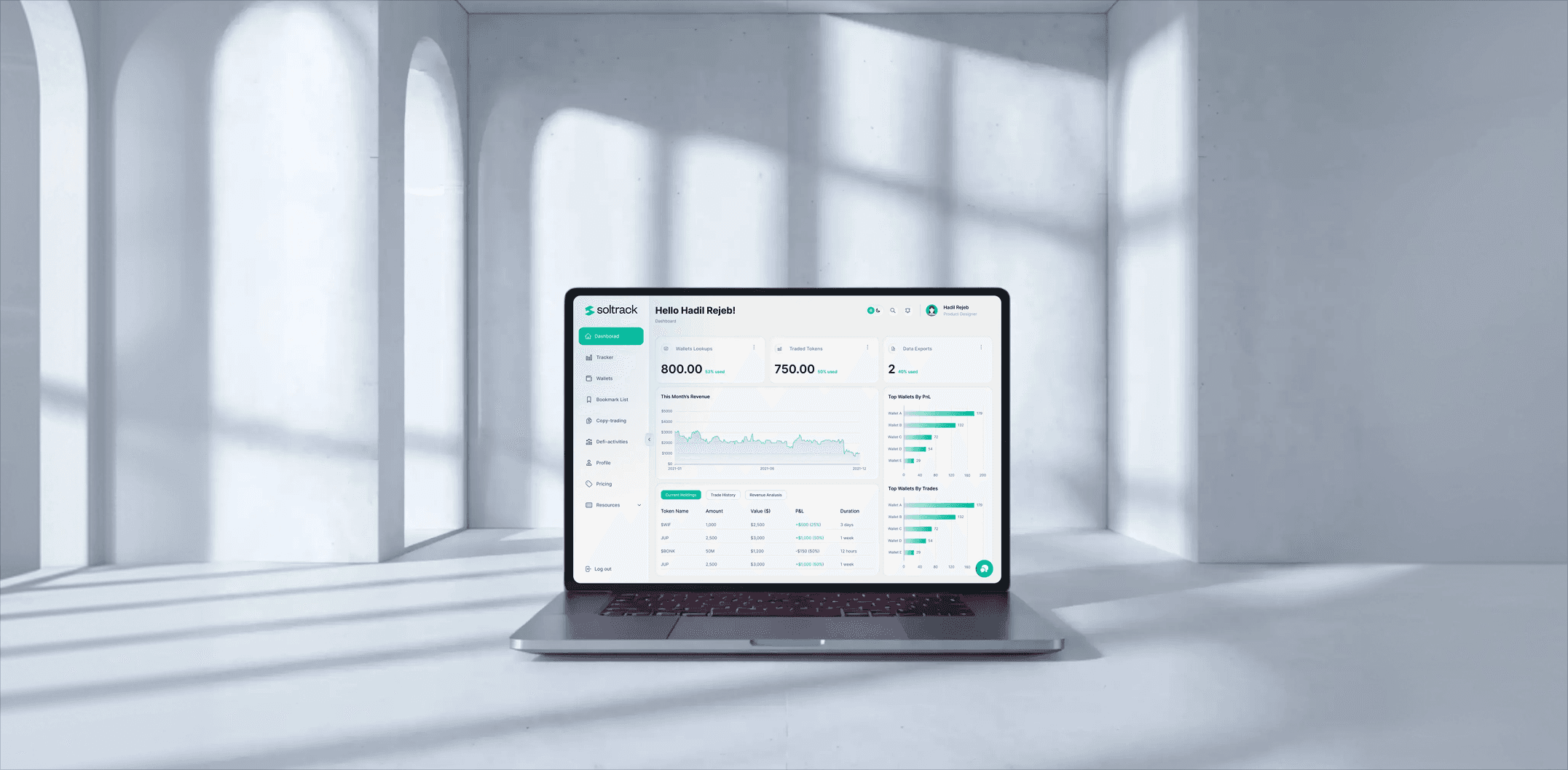 Soltrack | Token-Level Wallet Analysis