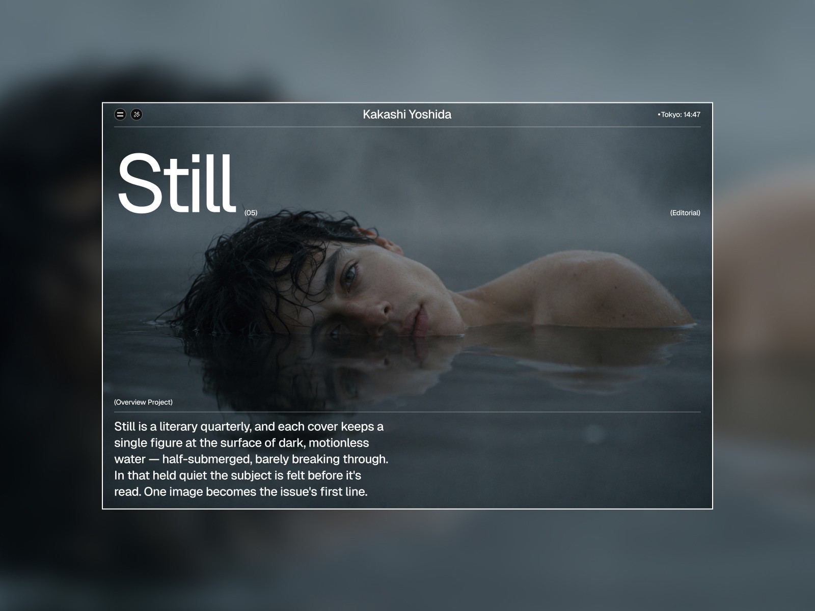 Image of a website preview
