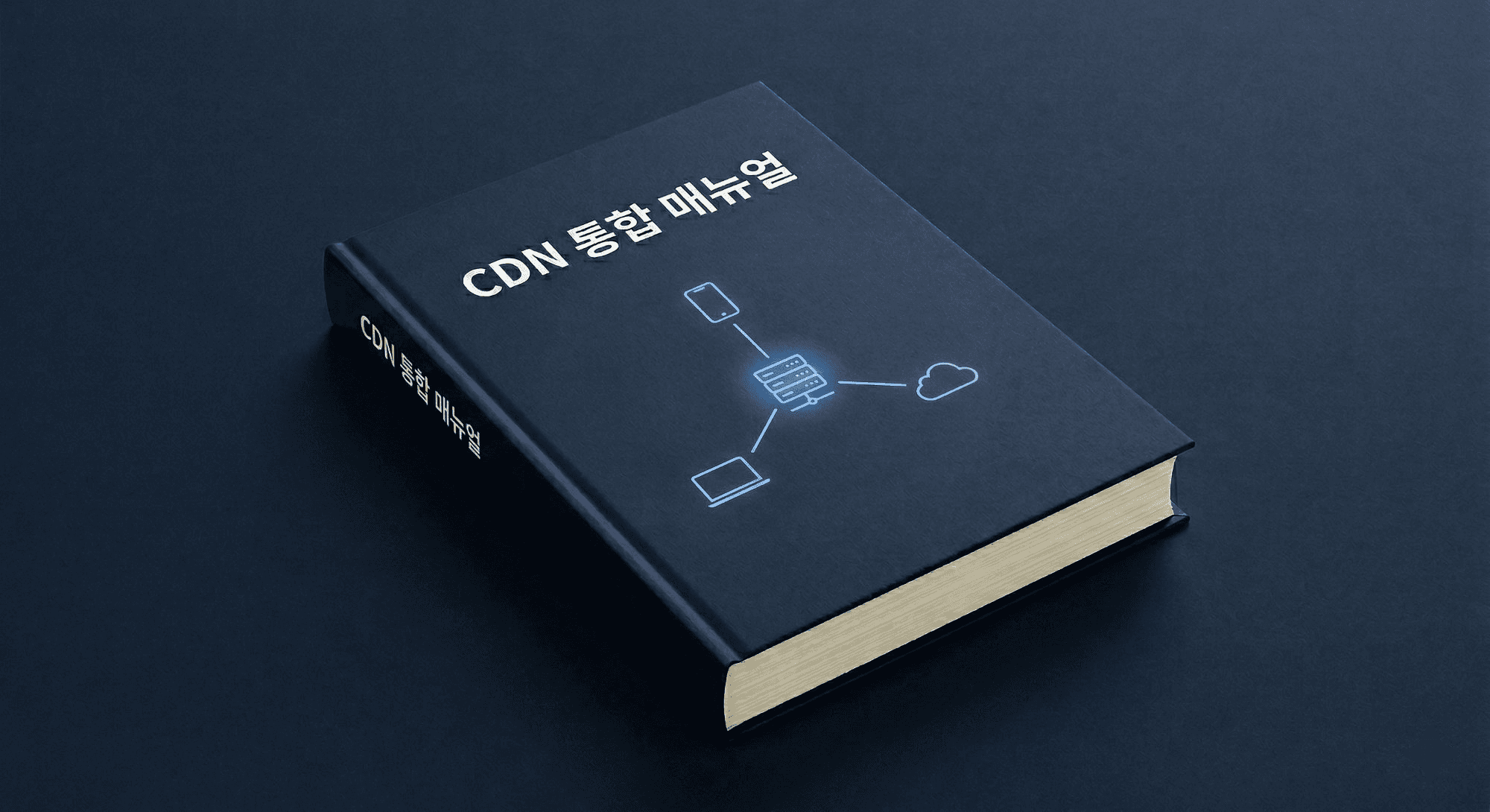S-CDN 메뉴얼 - 1. Statistics API