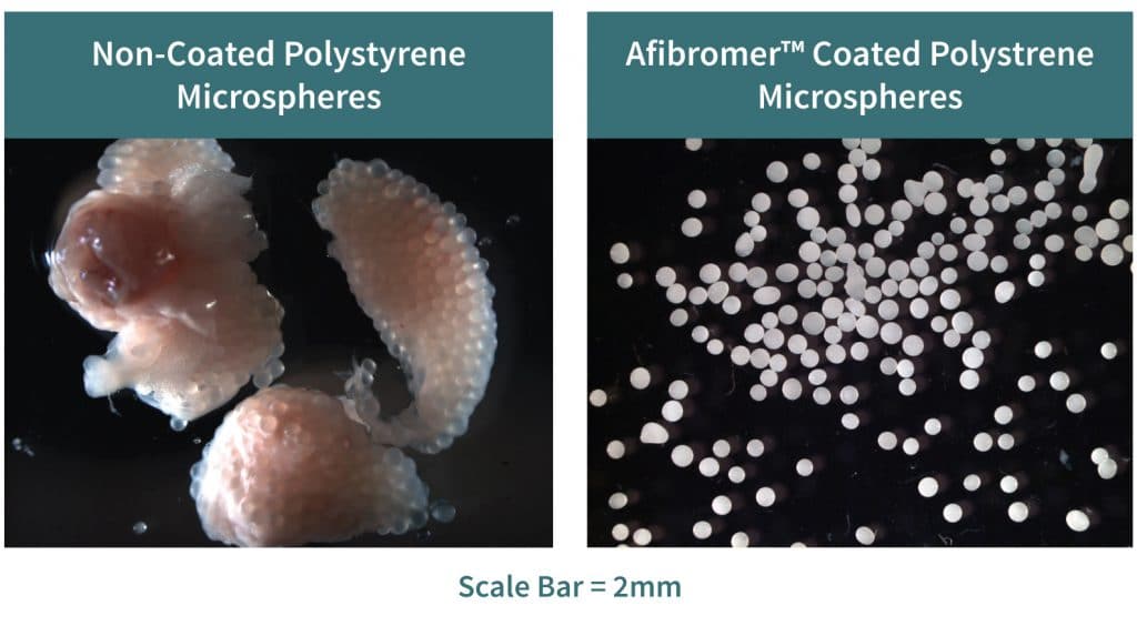 Sigilon Therapeutics