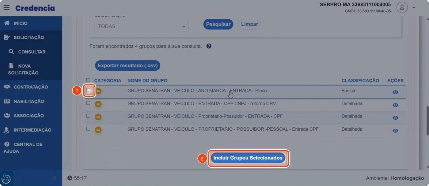 Captura de tela de referência do Credencia para Passo 7 — Selecionar e incluir um grupo de informações. Contexto: 40 — Revisão — Solicitação de consulta.