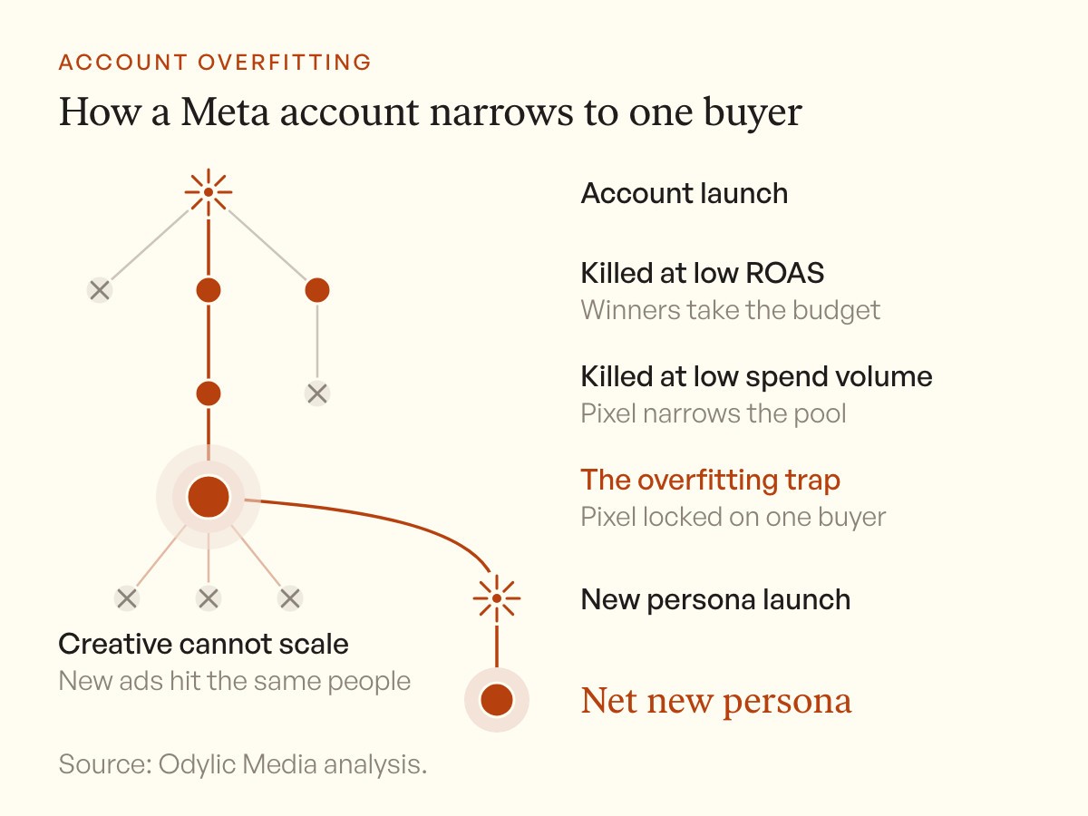 Diagram of a Meta account narrowing from launch to one buyer. Losers are cut at low ROAS, then at low spend, until the pixel locks on one buyer and new ads hit the same people. A new persona launch opens a second path.