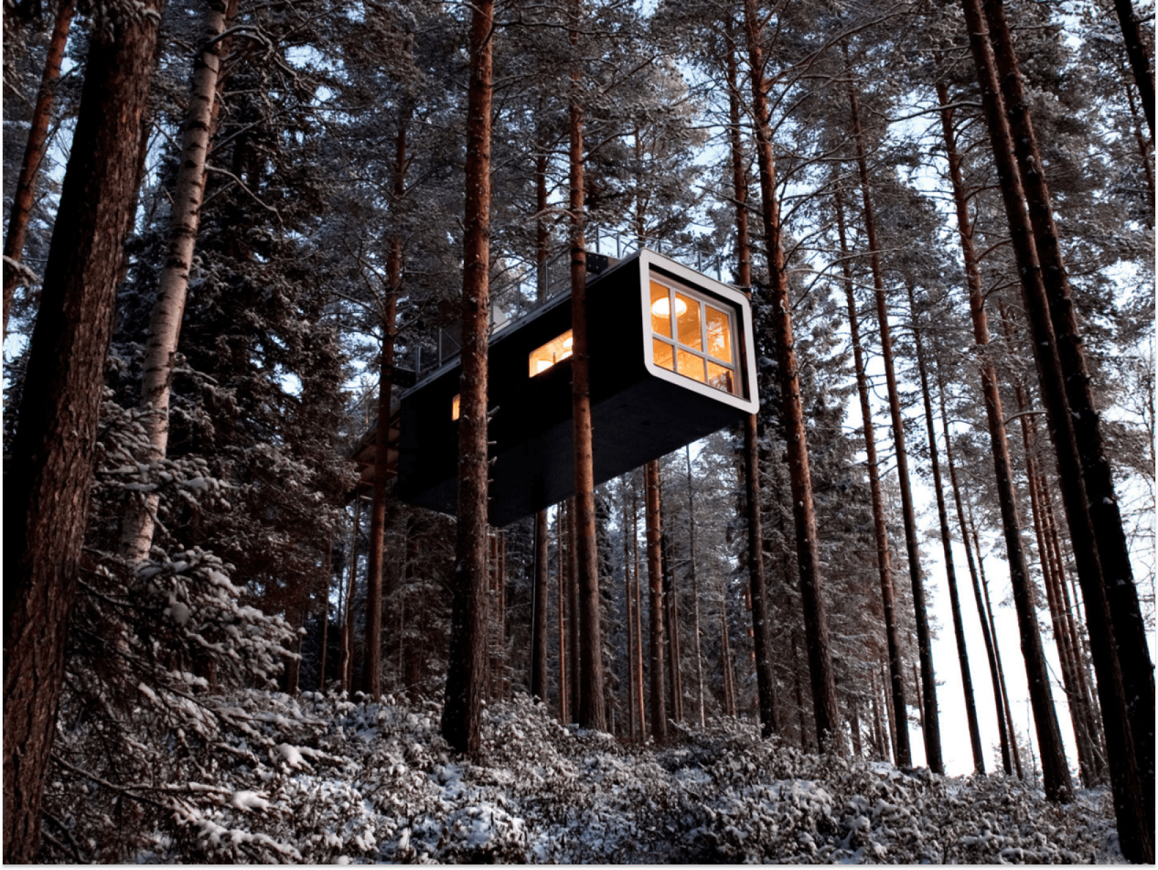 Credit: Treehotel