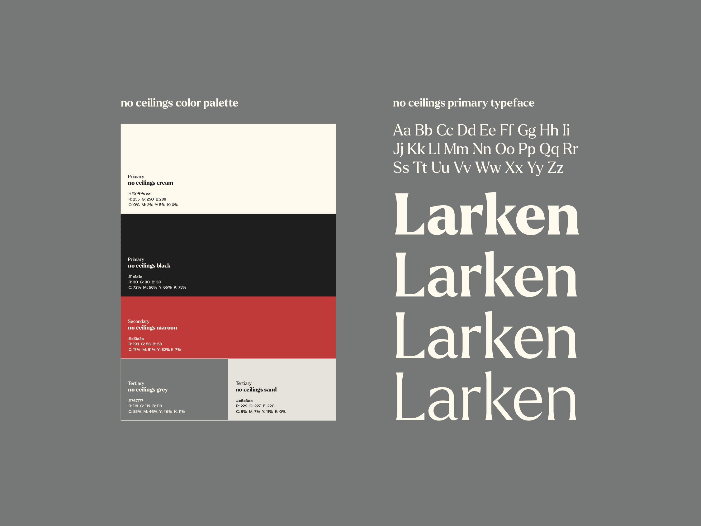 Laptop showing Bloomy UI