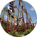Brinquedos Radicais  - Motion Turismo
