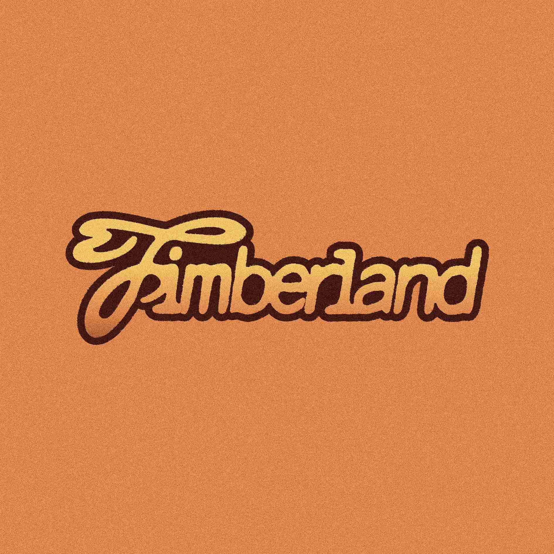 timberland-concept-art-typo