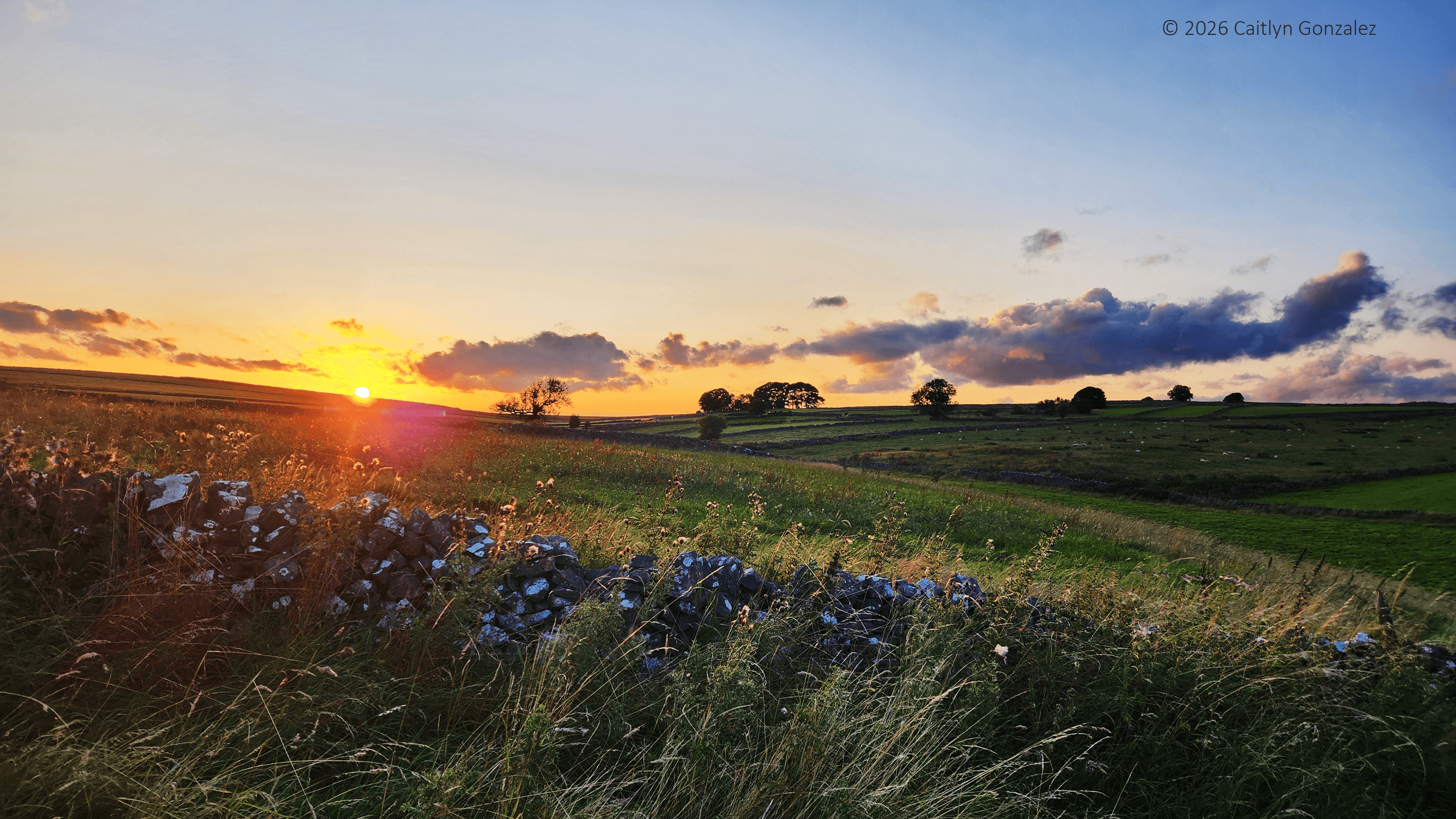 Sun setting over green, rolling fields