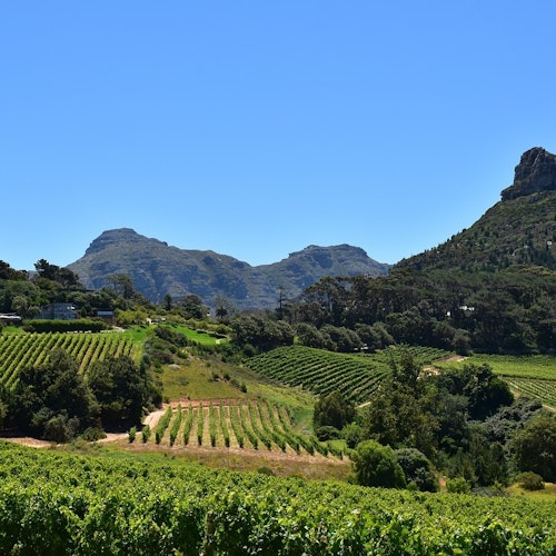 Constantia