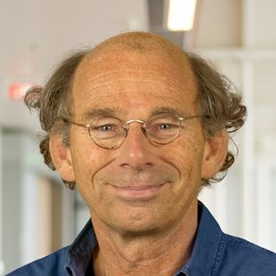 Prof Harry van Goor