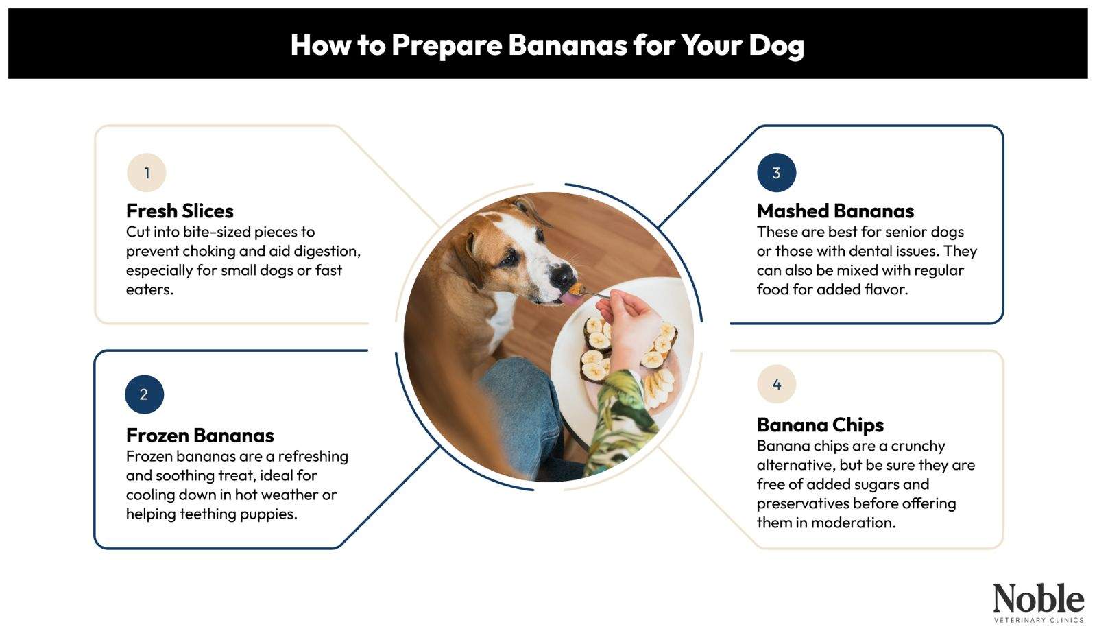 How to Prepare Bananas for Your Dog