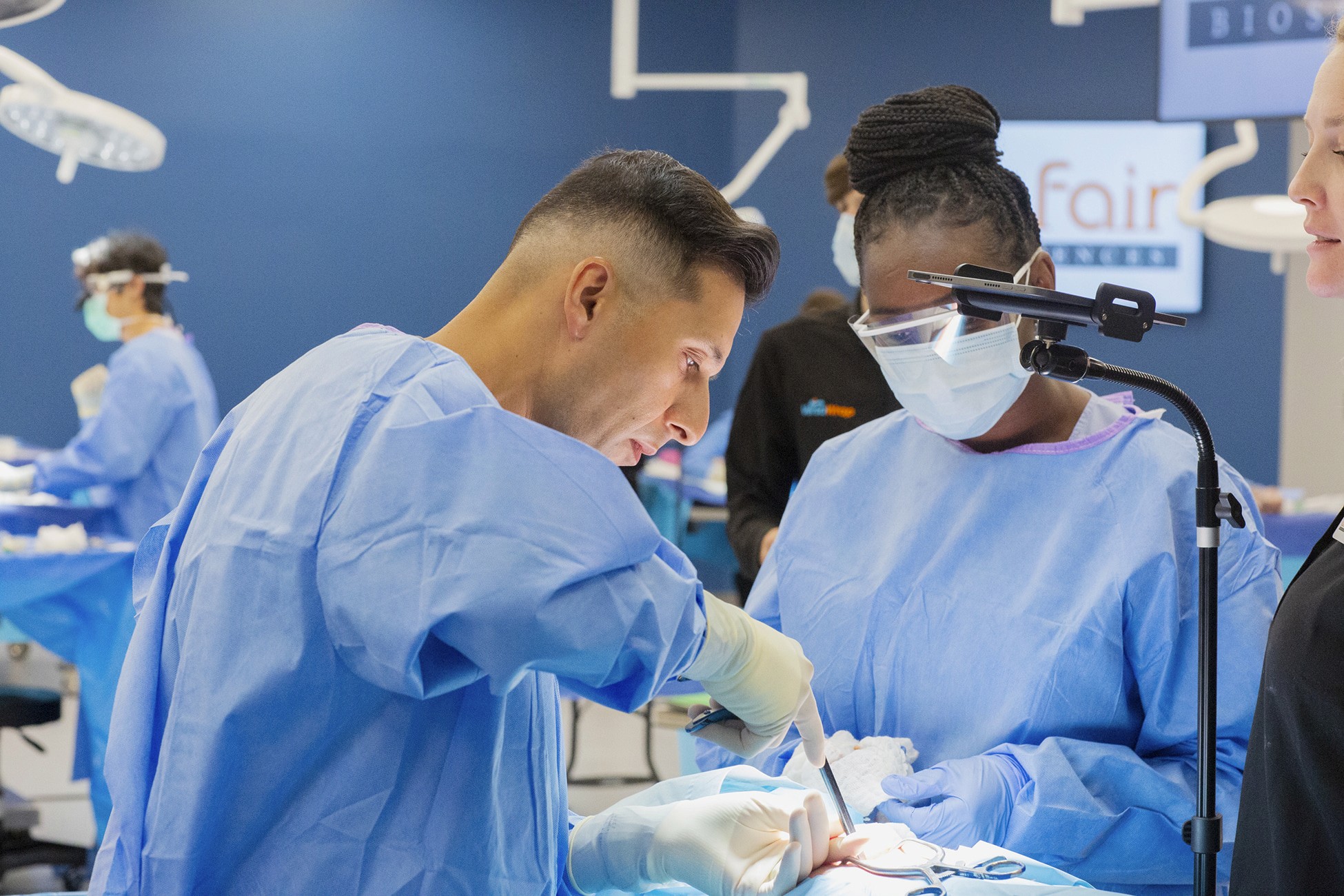 Close-up of lush, dark green leaves, some glossy and wet, against a muted background.