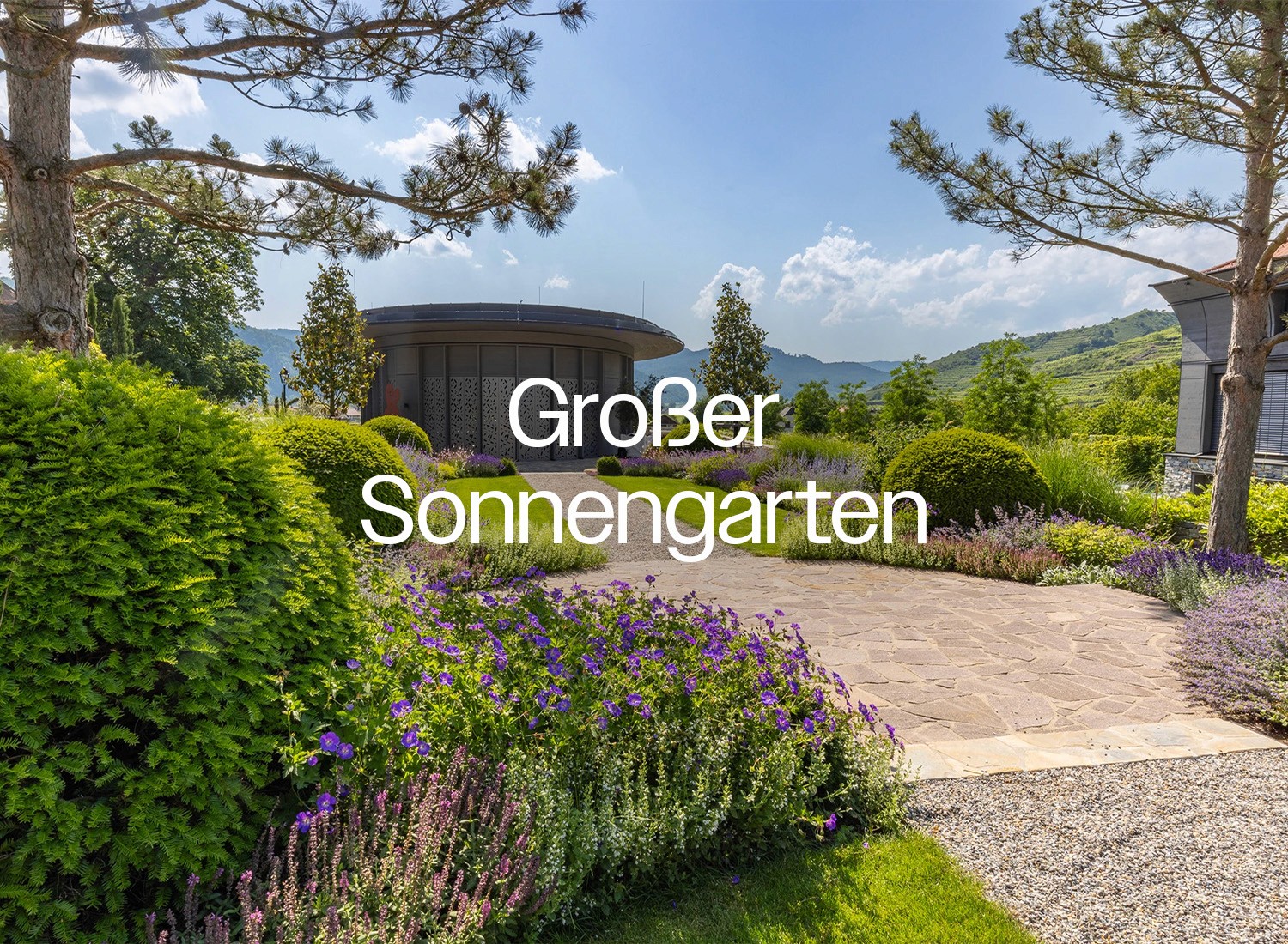 Ein grün bepflanzter großer Sonnengarten mit Pflastersteinen und Bäumen und Lavendel von Praskac.