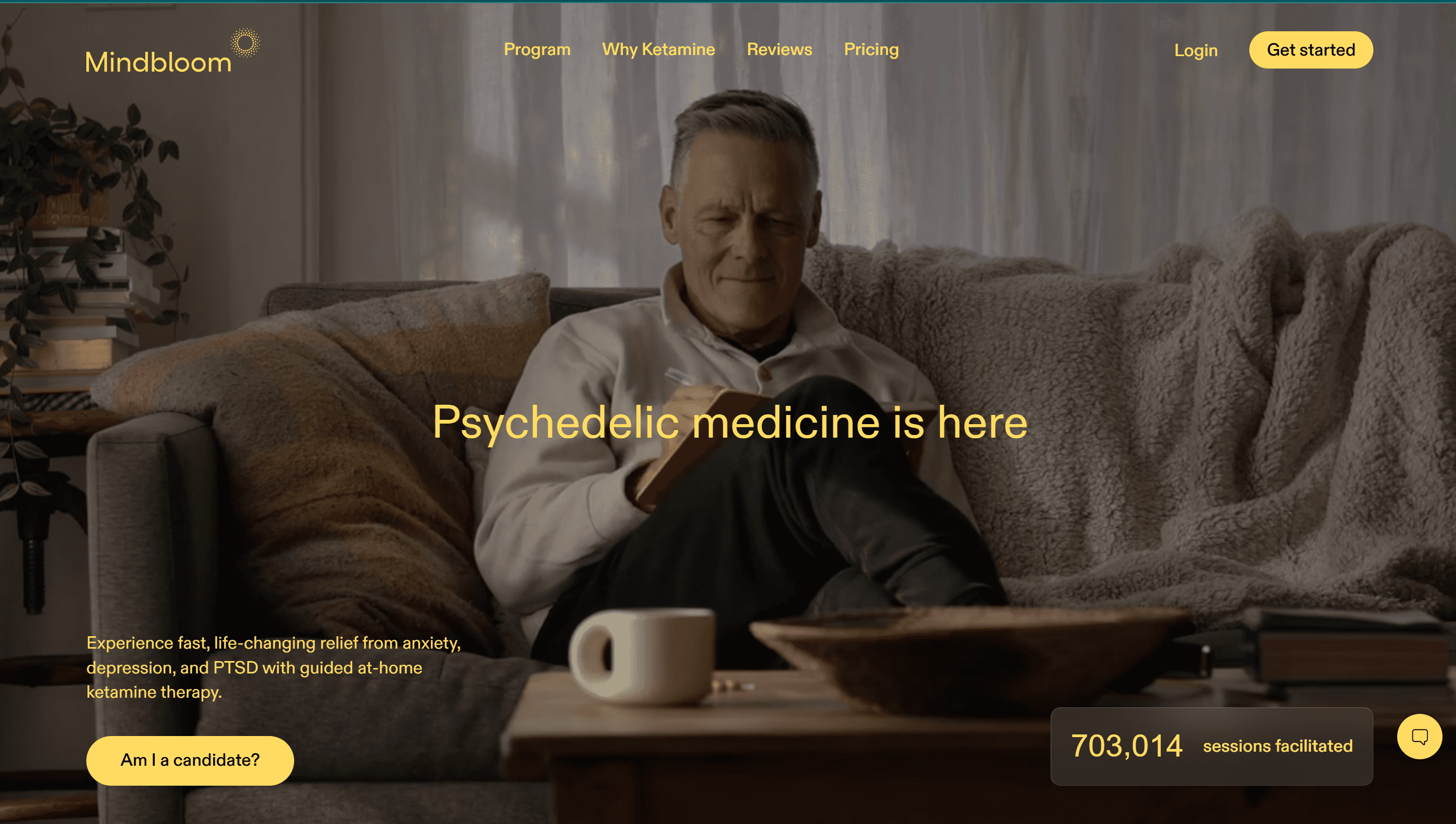 Logo Design Project for a Client