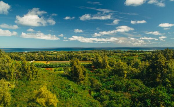 beautiful view of oahu over the scenic keana farms