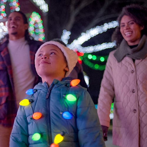 Kennywood Holiday Lights