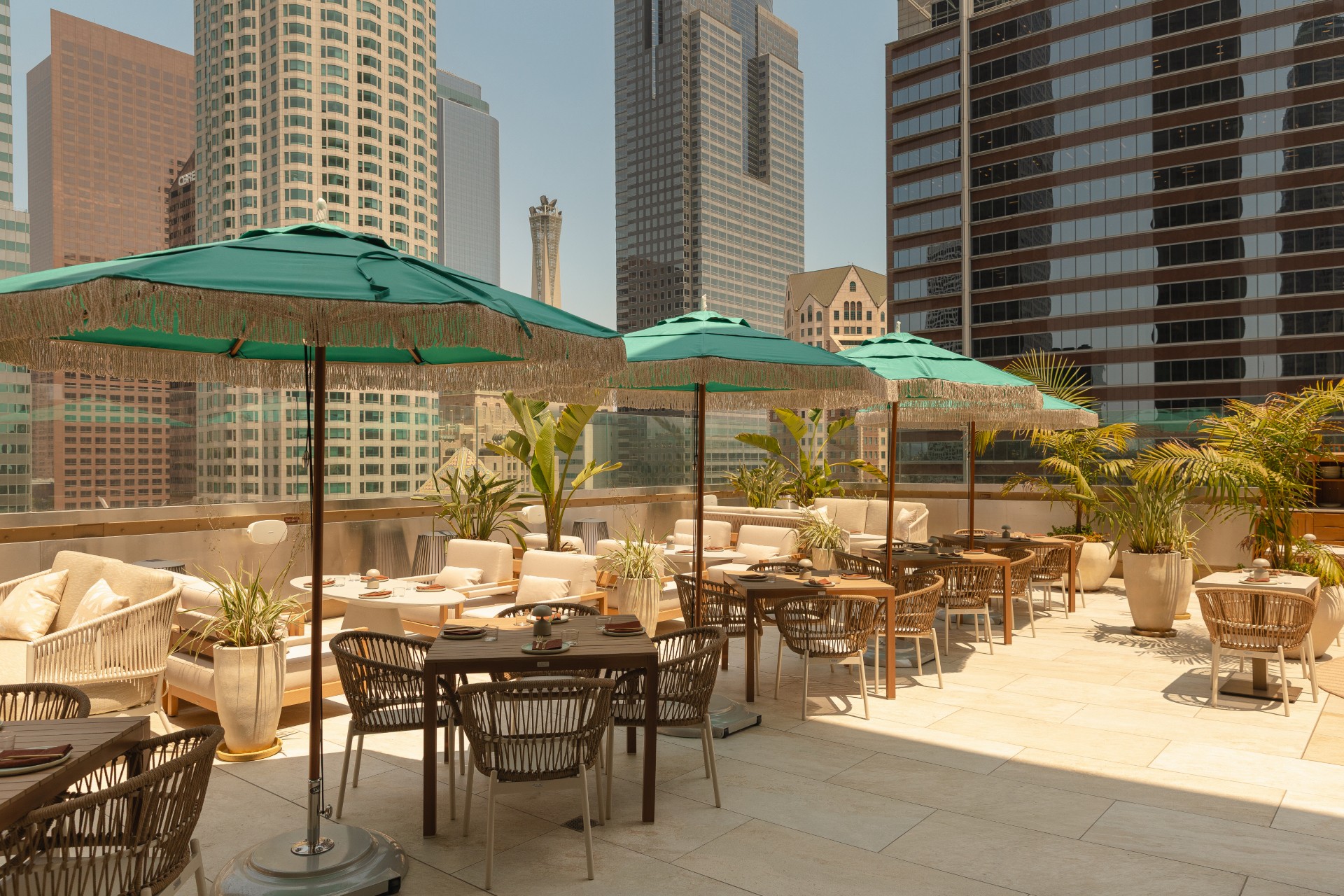 Rooftop Lounge