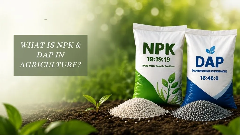 What is NPK & DAP in Agriculture?