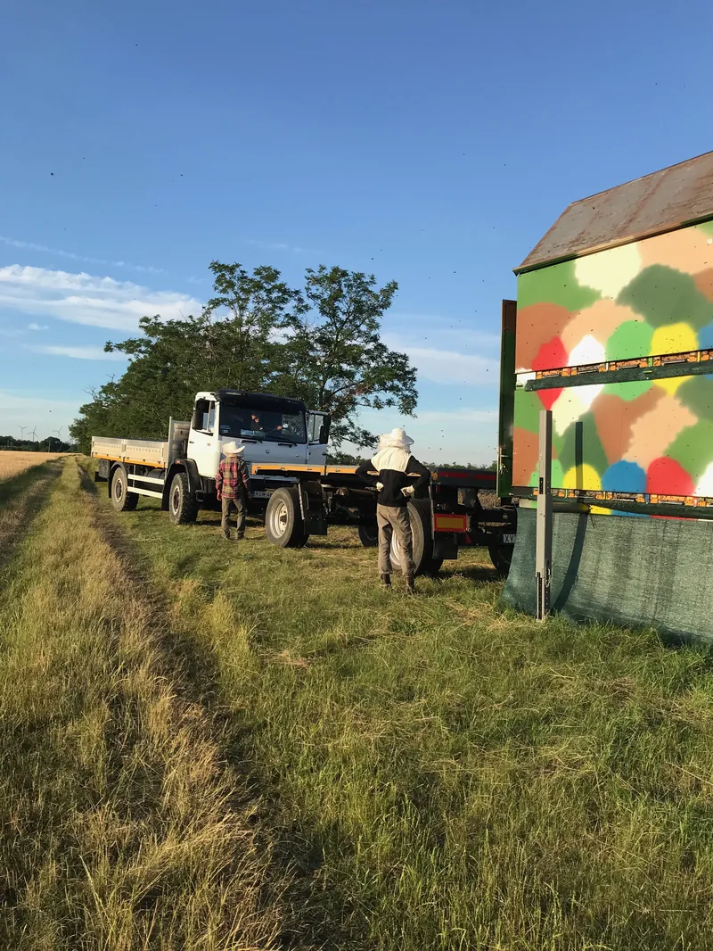 Méhszállítás előkészületek a Bazsó Méhészetben