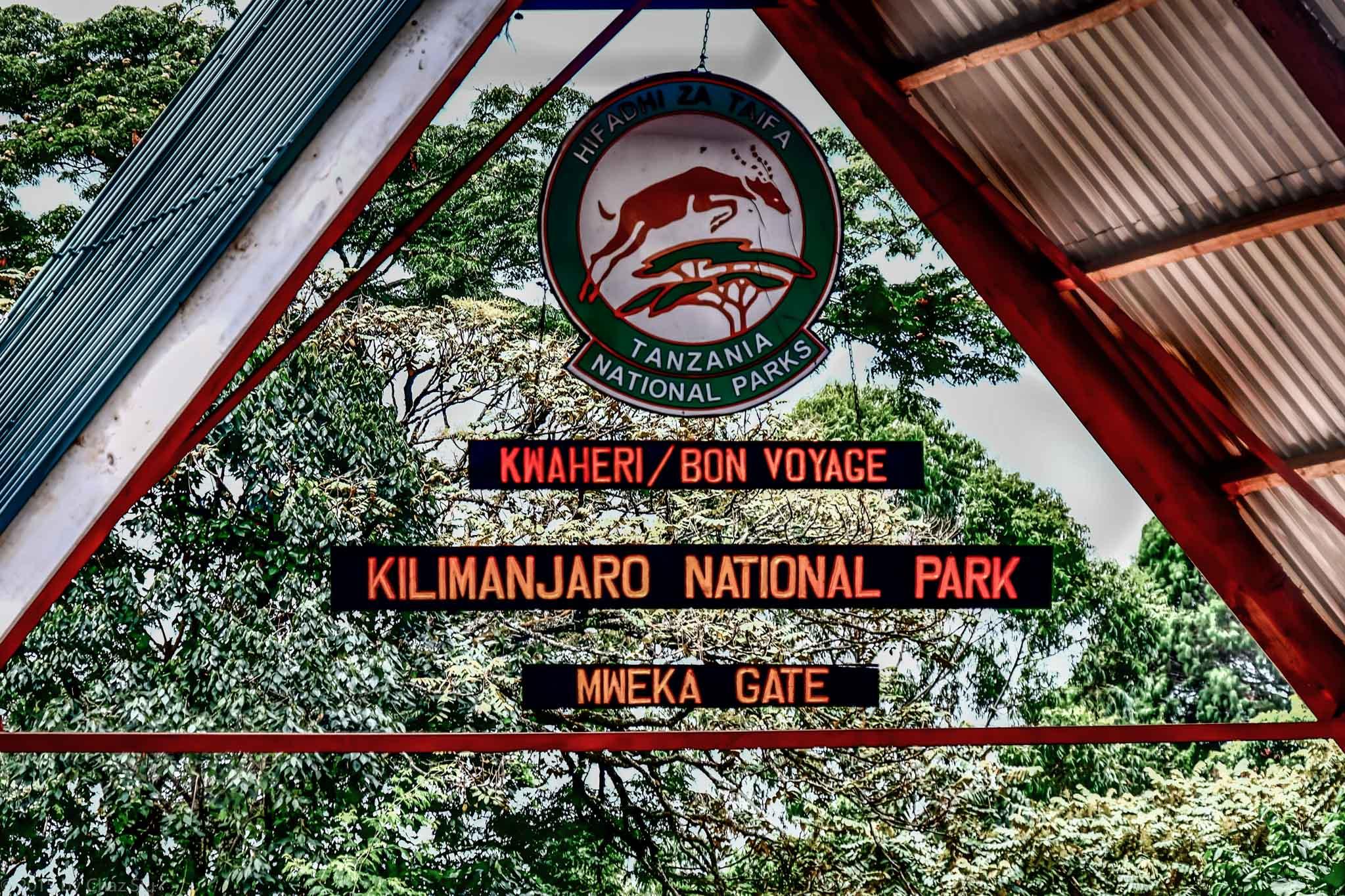 Kilimanjaro