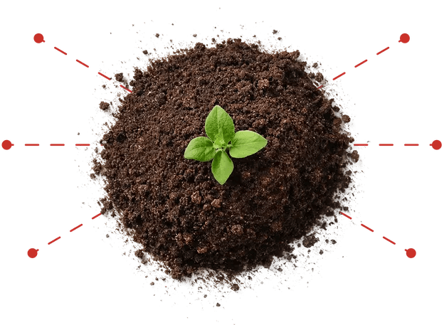 Regenerative organic certified soil with sprout