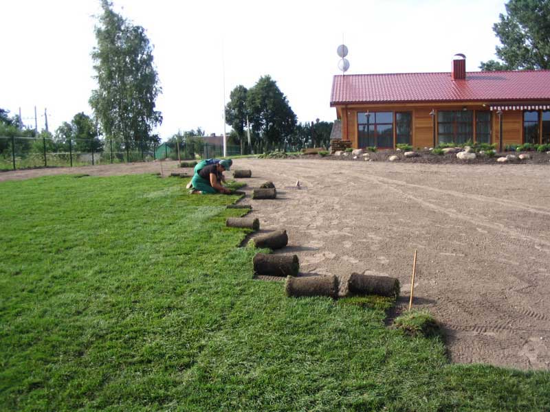 klojama-rulonine-veja-kliento-sklype