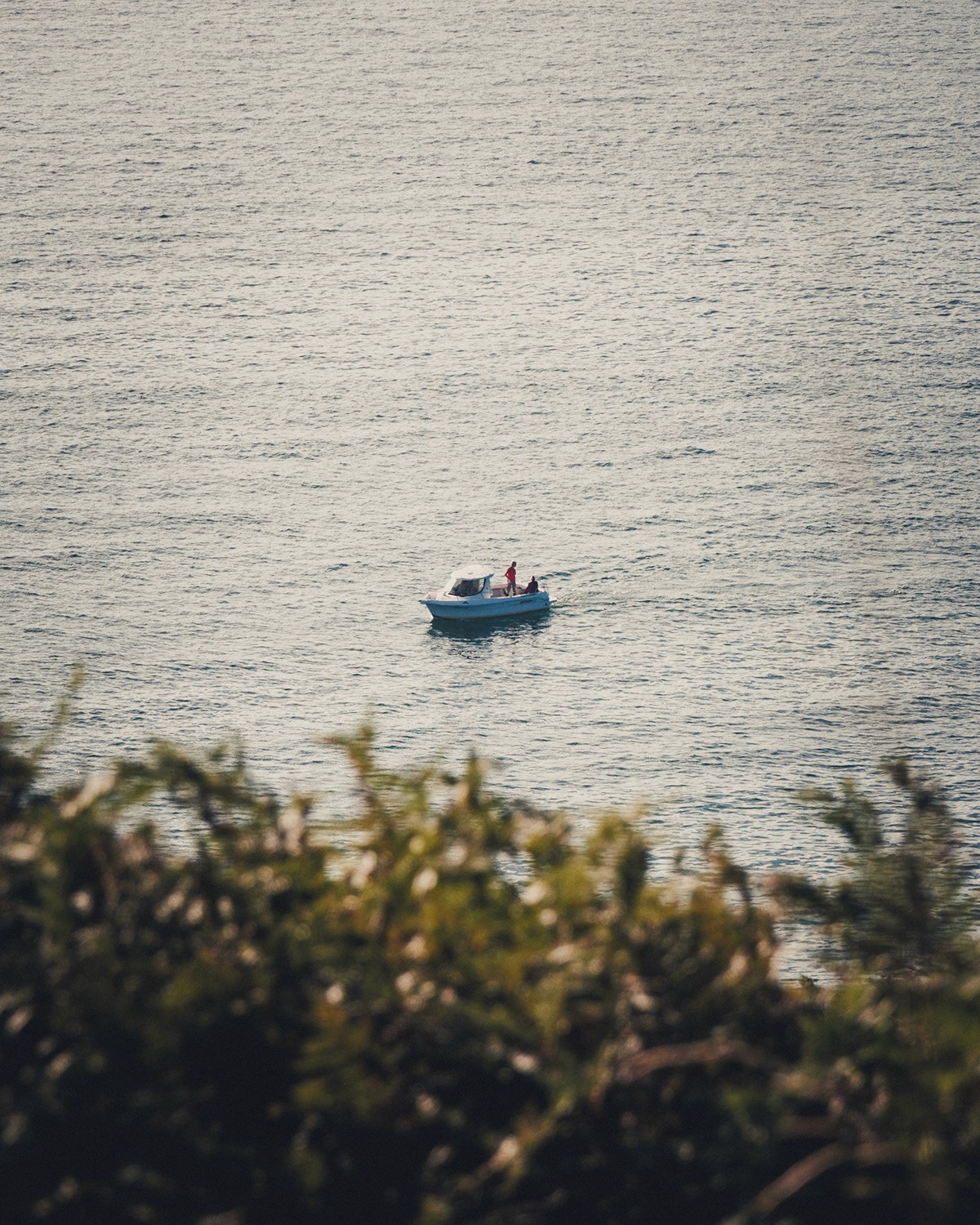 Fashion portrait photography