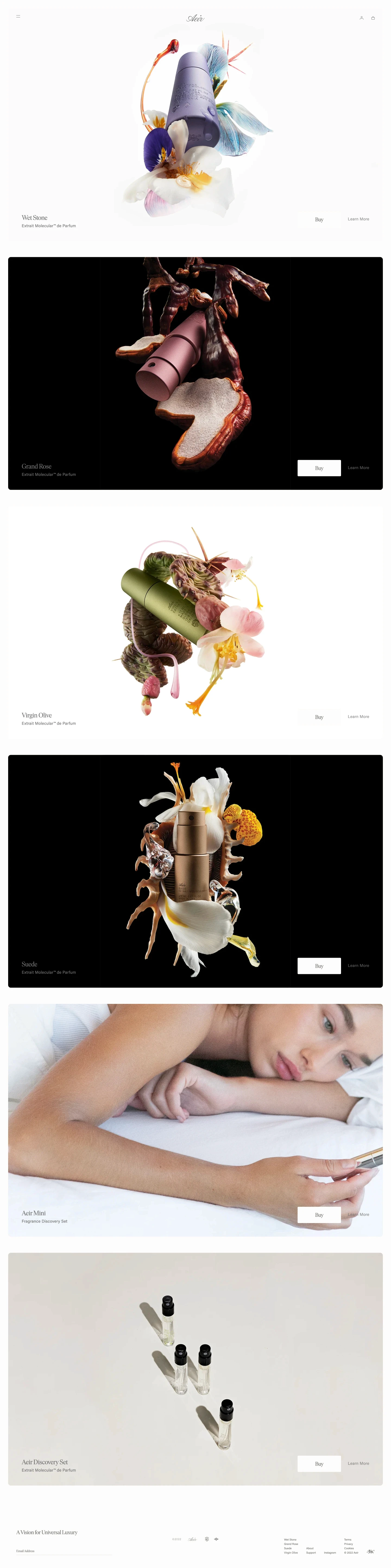 Aeir landing page screenshot showcasing Beauty design