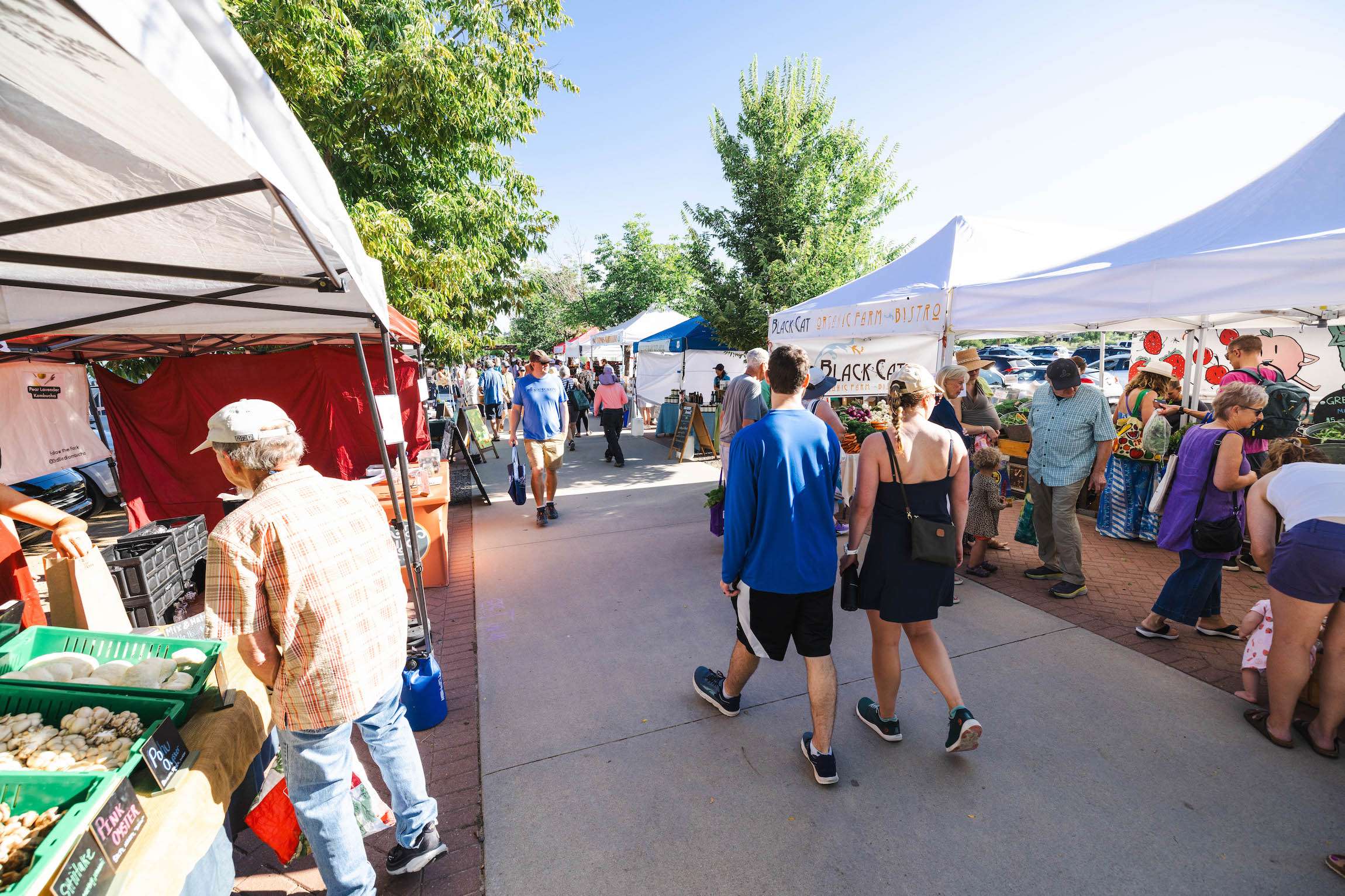 Longmont Farmer's Market, Longmont, CO on Saturdays.
