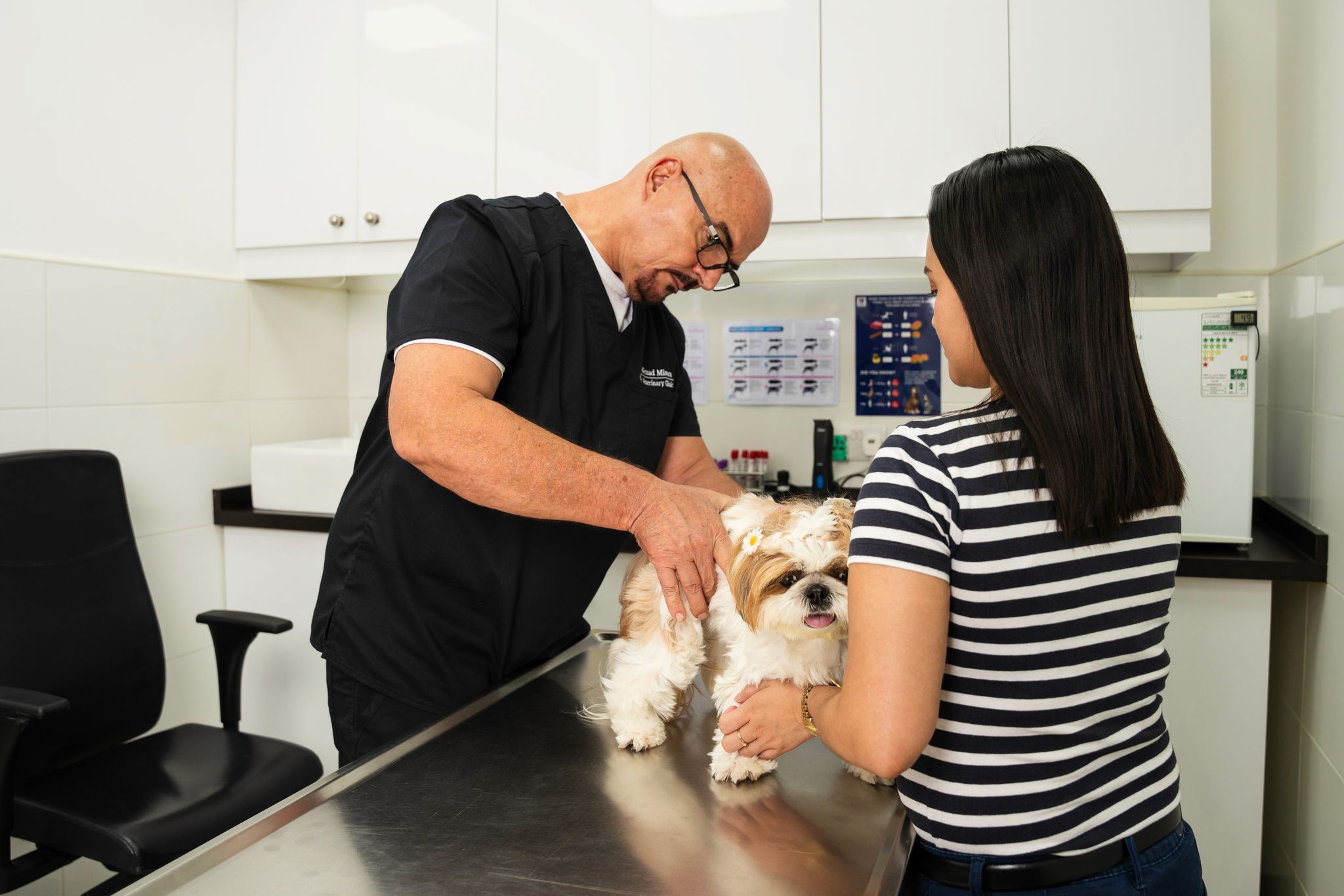 A veterinarian examines a small, fluffy dog with a bow in its fur, while a woman in a striped shirt holds the dog on a stainless steel table.