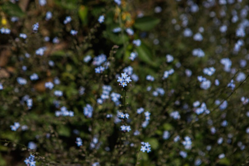 Copyright © Tiffany Lin - www.tiffanylinphotography.com