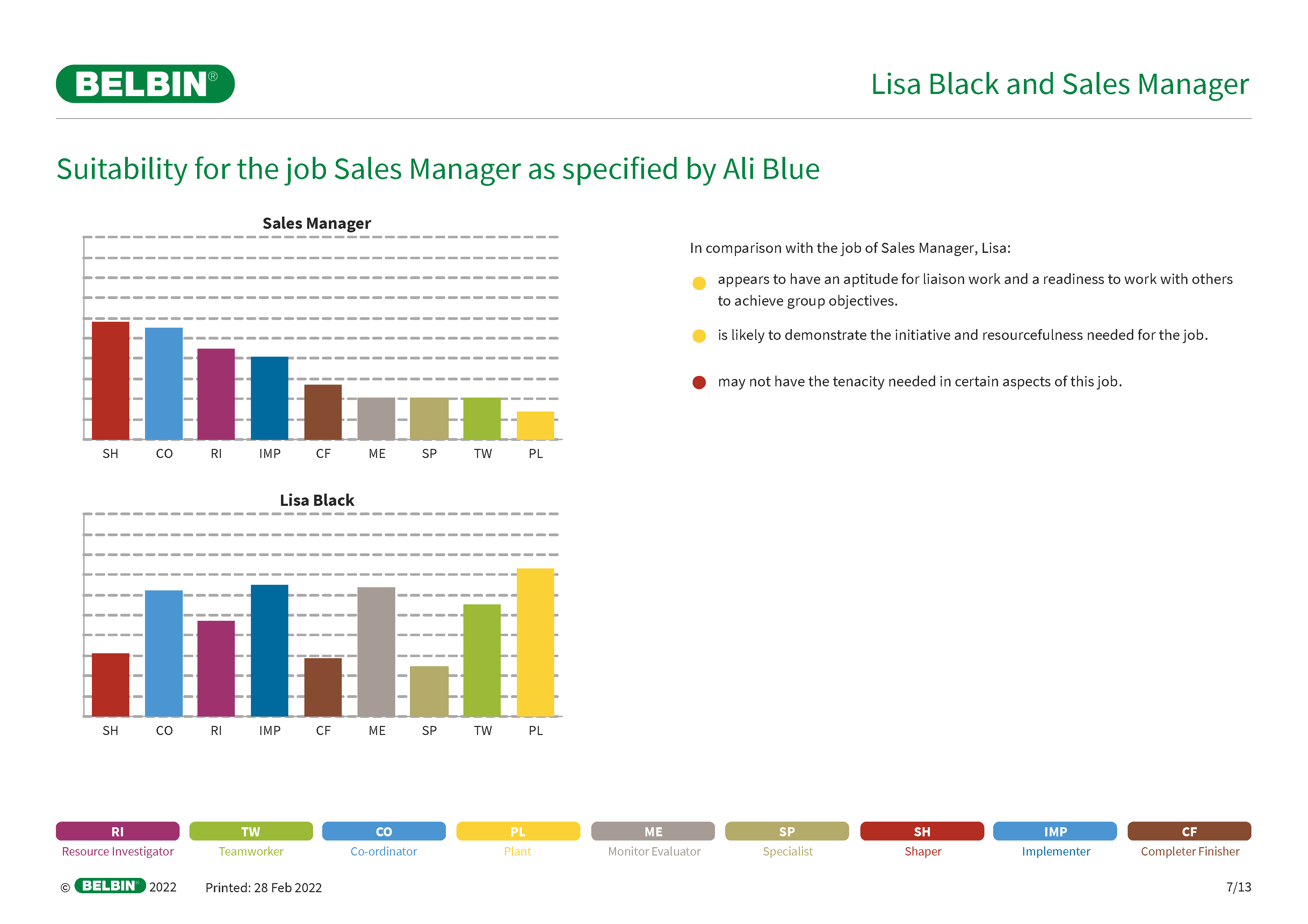 Belbin Team Roles Job Comparision Report Example