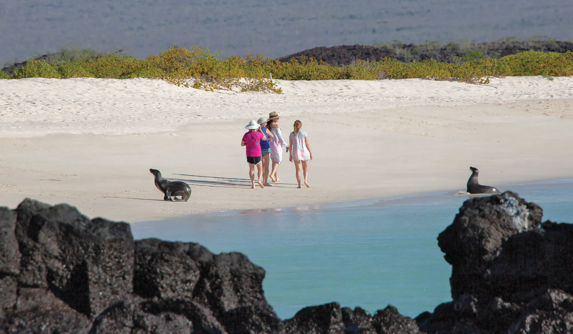 Wildlife Wonderland in Galapagos